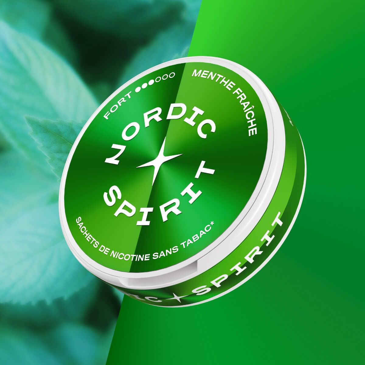 Boîte de sachets de nicotine Nordic Spirit Menthe Fraîche fort avec fond