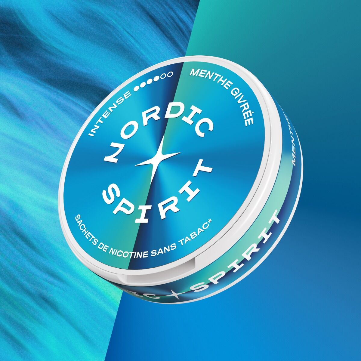 Boîte de sachets de nicotine Nordic Spirit Menthe Givrée intense